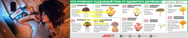 2c-b Алексин