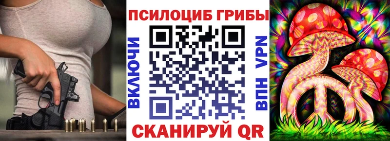 Псилоцибиновые грибы Psilocybe  Артёмовск 